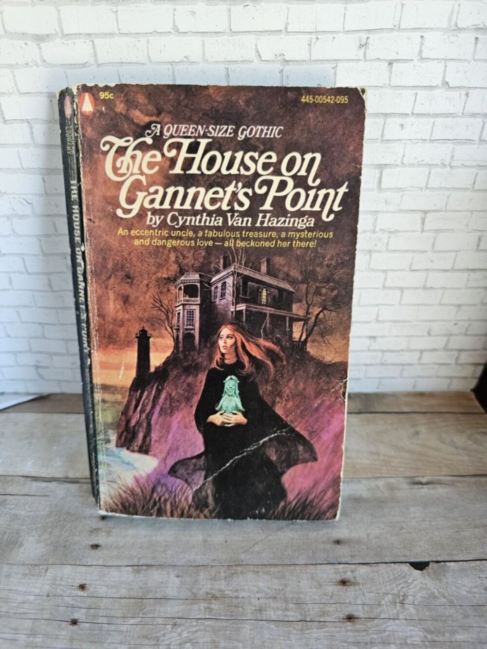 The House on Gannet’s Point Cynthia Van Hazinga 1974 Gothic Paperback